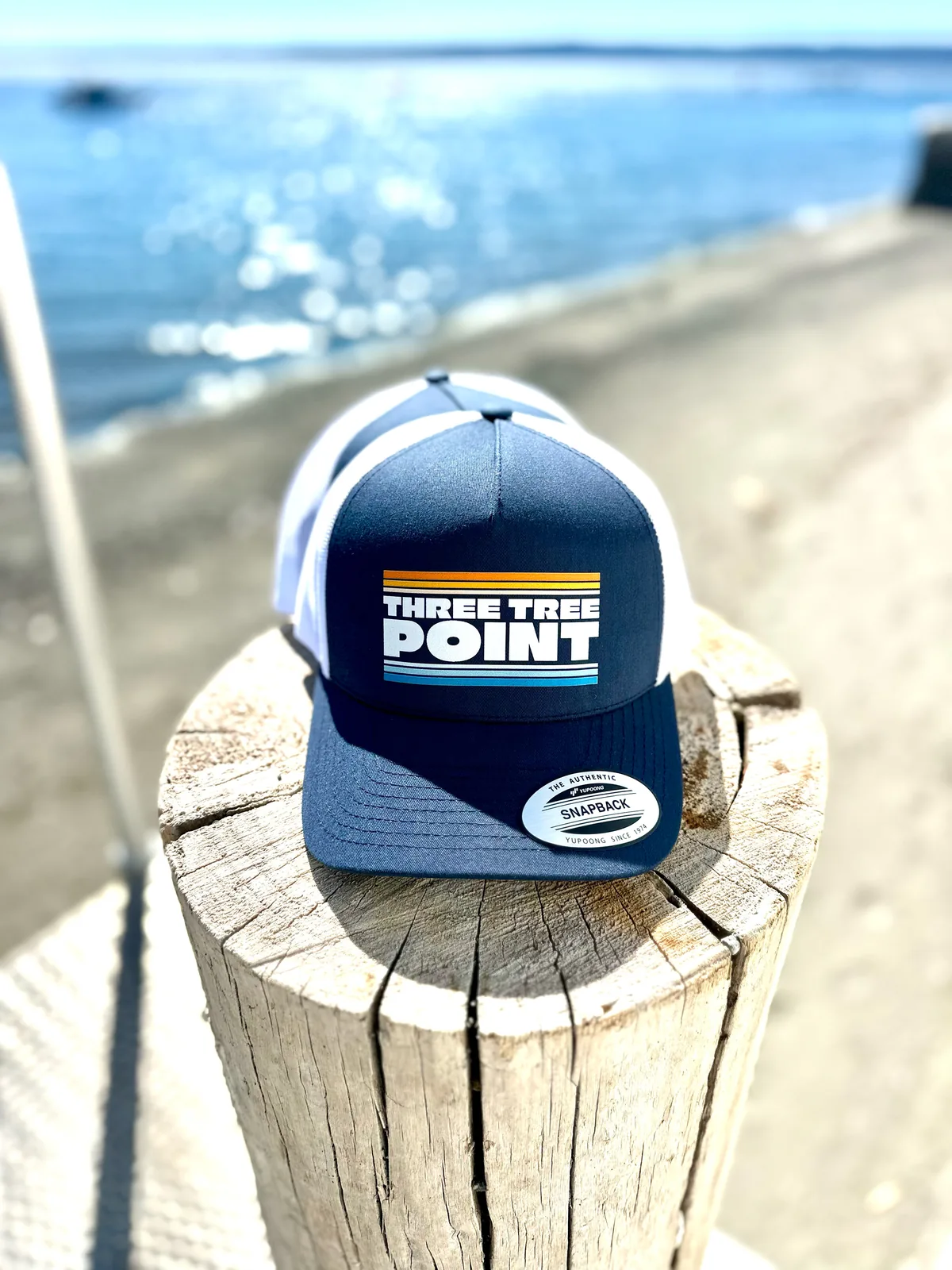 Three Tree Point trucker cap on a weathered piling above the Salish Sea